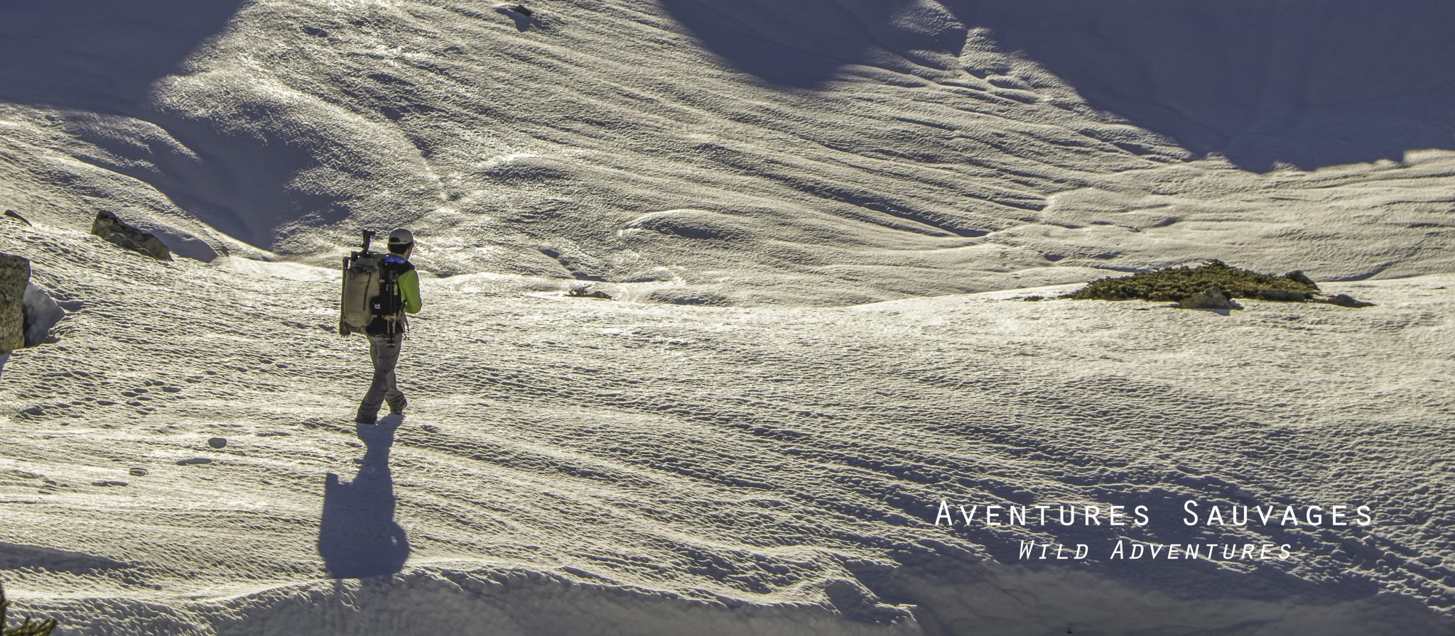 wildAdventures3_transp